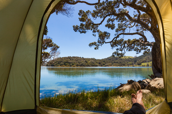 Artikel vom2026-02-13